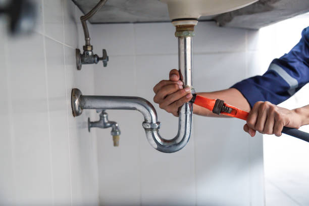  Wainaku, HI Plumbing Pros