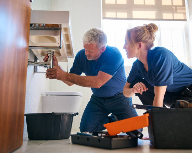 Best Leak Detection Services  in Wainaku, HI